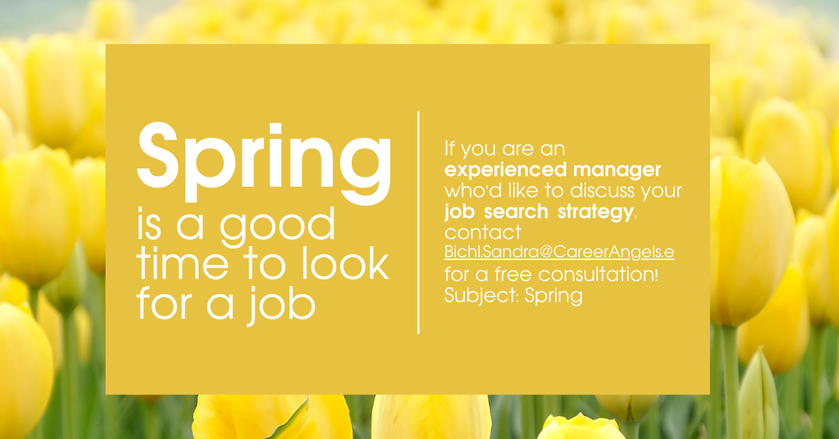 Job Search Strategy for an experienced manager 